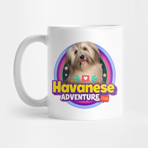 Havanese dog by Puppy & cute